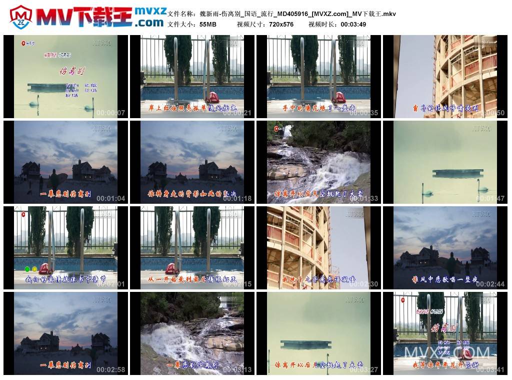 魏新雨-伤离别_国语_流行_MD405916